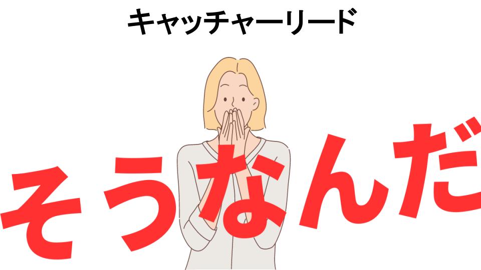 意味ないと思う人におすすめ！キャッチャーリードの代わり